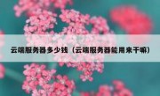 云端服务器多少钱（云端服务器能用来干嘛）