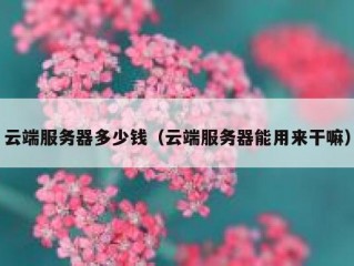云端服务器多少钱（云端服务器能用来干嘛）