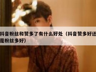 抖音粉丝和赞多了有什么好处（抖音赞多好还是粉丝多好）