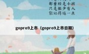 gopro9上市（gopro9上市日期）