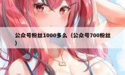 公众号粉丝1000多么（公众号700粉丝）