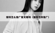 推特怎么推广推文赚钱（推特怎样推广）