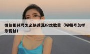 微信视频号怎么快速涨粉丝数量（视频号怎样涨粉丝）