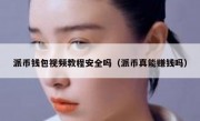 派币钱包视频教程安全吗（派币真能赚钱吗）