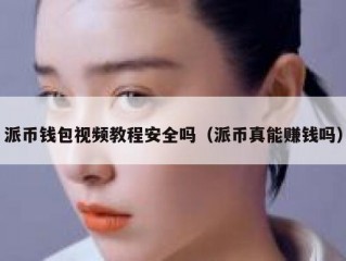 派币钱包视频教程安全吗（派币真能赚钱吗）