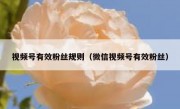 视频号有效粉丝规则（微信视频号有效粉丝）
