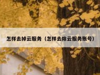 怎样去掉云服务（怎样去除云服务账号）