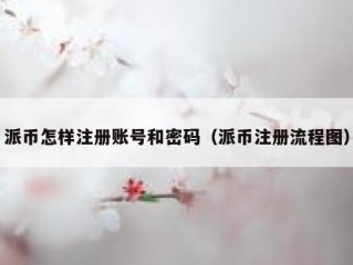 派币怎样注册账号和密码（派币注册流程图）