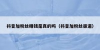 抖音加粉丝赚钱是真的吗（抖音加粉丝渠道）