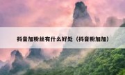 抖音加粉丝有什么好处（抖音粉加加）