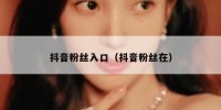 抖音粉丝入口（抖音粉丝在）