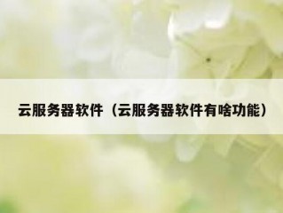 云服务器软件（云服务器软件有啥功能）