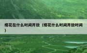 樱花在什么时间开放（樱花什么时间开放时间）
