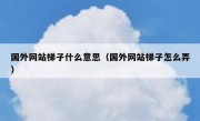 国外网站梯子什么意思（国外网站梯子怎么弄）