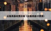 云服务器收费价格（云服务器1t费用）