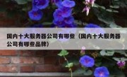国内十大服务器公司有哪些（国内十大服务器公司有哪些品牌）