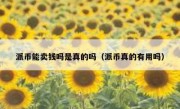 派币能卖钱吗是真的吗（派币真的有用吗）