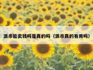 派币能卖钱吗是真的吗（派币真的有用吗）