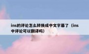 ins的评论怎么转换成中文字幕了（ins中评论可以翻译吗）