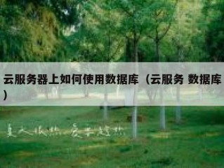 云服务器上如何使用数据库（云服务 数据库）