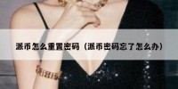 派币怎么重置密码（派币密码忘了怎么办）