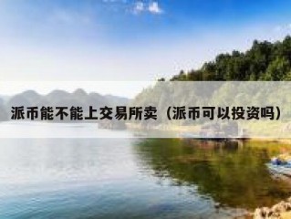 派币能不能上交易所卖（派币可以投资吗）