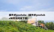 国外的youtube（国外的youtube如何访问并下载）