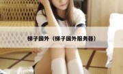 梯子国外（梯子国外服务器）