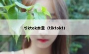 tiktok本意（tiktokt）