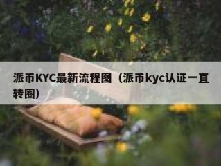 派币KYC最新流程图（派币kyc认证一直转圈）