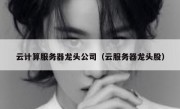 云计算服务器龙头公司（云服务器龙头股）