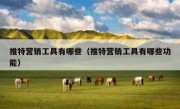 推特营销工具有哪些（推特营销工具有哪些功能）