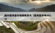 国内服务器市场规模多大（服务器市场2021）