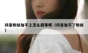 抖音粉丝加不上怎么回事呢（抖音加不了粉丝）