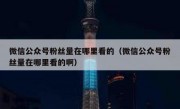 微信公众号粉丝量在哪里看的（微信公众号粉丝量在哪里看的啊）