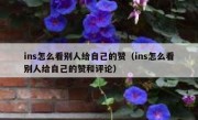 ins怎么看别人给自己的赞（ins怎么看别人给自己的赞和评论）
