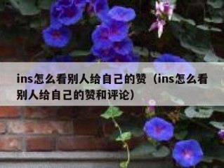 ins怎么看别人给自己的赞（ins怎么看别人给自己的赞和评论）