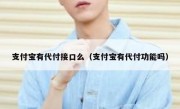 支付宝有代付接口么（支付宝有代付功能吗）