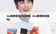 ins看得到访问记录吗（ins看得到访客吗）