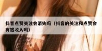 抖音点赞关注会消失吗（抖音的关注和点赞会有钱收入吗）