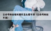 公众号粉丝增长图片怎么看不到（公众号粉丝不涨）