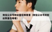 微信公众号粉丝量在哪里看（微信公众号的粉丝数量在哪看）