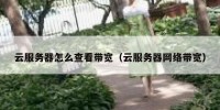 云服务器怎么查看带宽（云服务器网络带宽）