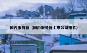 国内服务器（国内服务器上市公司排名）