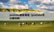 youtube都能看啥（youtube可以看的哦）