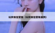 玩转微信营销（玩转微信营销案例）