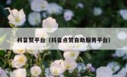 抖音赞平台（抖音点赞自助服务平台）