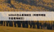 bilibili怎么看海贼王（哔哩哔哩能不能看海贼王）