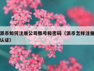 派币如何注册公司账号和密码（派币怎样注册认证）