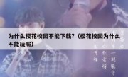 为什么樱花校园不能下载?（樱花校园为什么不能玩呢）